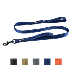 Laisse pour chien OneTigris