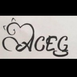 Cat's bag (sac en papier 100% recyclé)