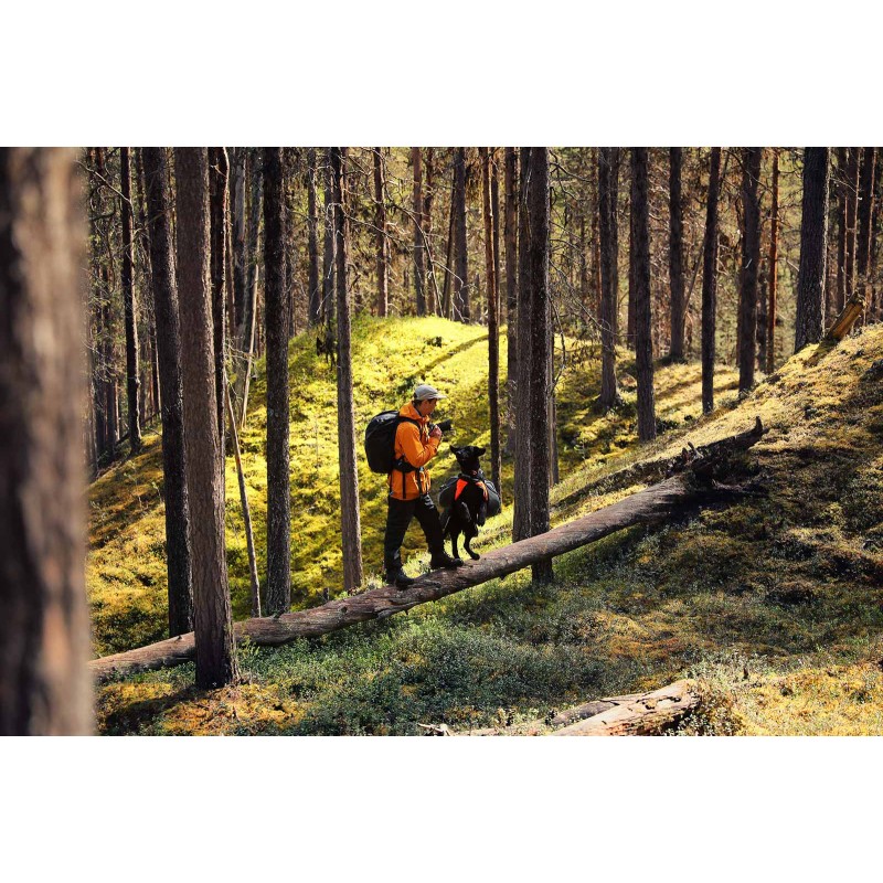 Non-stop Trail quest collar