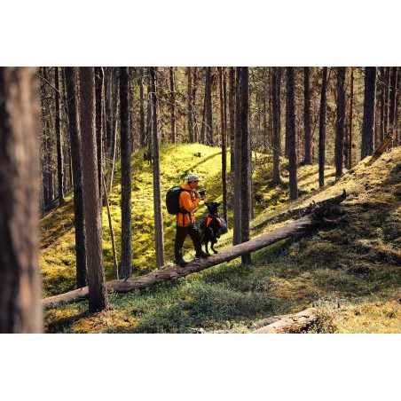 Non-stop Trail quest collar