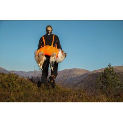 Non-stop Dog rescue sling