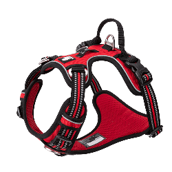 Manteau pour chien chaud type peignoir Truelove