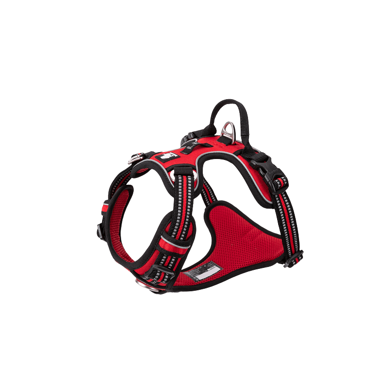 Manteau pour chien chaud type peignoir Truelove