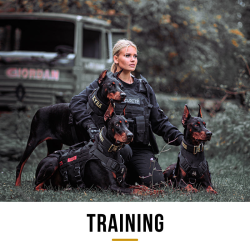 Harnais OneTigris Old