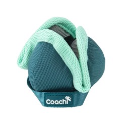 Coachi Puppy Chase &amp; Treat