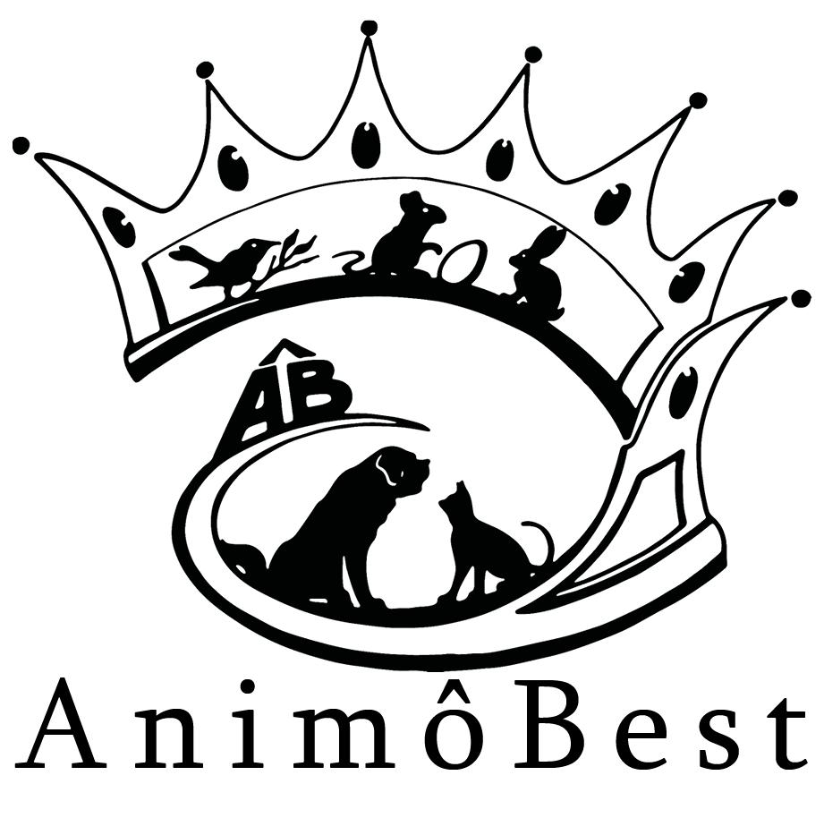 AnimôBestSàrl